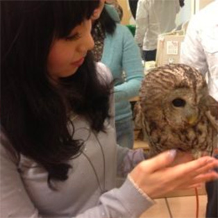 おさゆさんの体験レポート